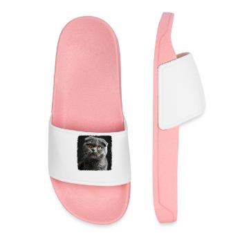 Scottish Fold Kitten Scottish Fold Cat - Women’s Pool Sliders - light pink - Front