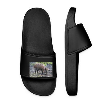 Sanglier (en allemand Wildschwein) Sus scrofa - Claquettes Femme - noir - Devant
