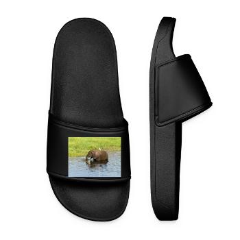 Landschaft im Chobe-Nationalpark auf der Insel Sedudu - Frauen Badelatschen - Schwarz - Vorne