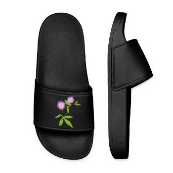 Plante de mimosa avec ses feuilles sensibles - Claquettes Femme - noir - Devant