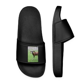 Mouflon européen Europäischer Mufflon - Claquettes Femme - noir - Devant