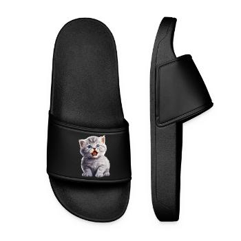Cat Cats British Shorthair British Shorthair - Women’s Pool Sliders - black - Front