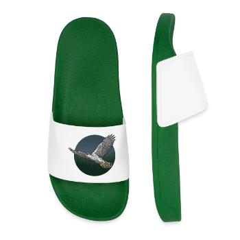 Autour des palombes Accipiter Gentilis Oiseau de proie - Claquettes Femme - vert foncé - Devant