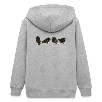 House redstart branches - Teens Organic Zip-up Hoodie by Stanley/Stella - heather grey - Back - AI Model Teenager Male light (155cm)