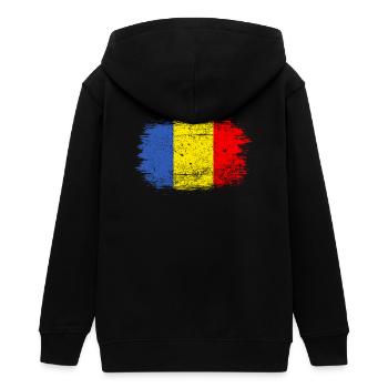 Coup de pinceau Drapeau roumain - Veste à capuche ado bio Stanley/Stella - noir - Dos - AI Model Teenager Male light (155cm)