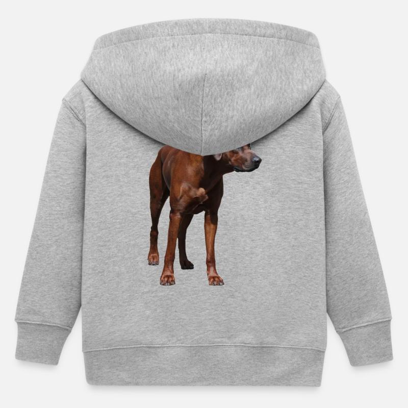 Rhodesian Ridgeback - Hunde Motiv - Kinder Organic Kapuzenjacke Mini Cultivator von Stanley/Stella - Grau meliert