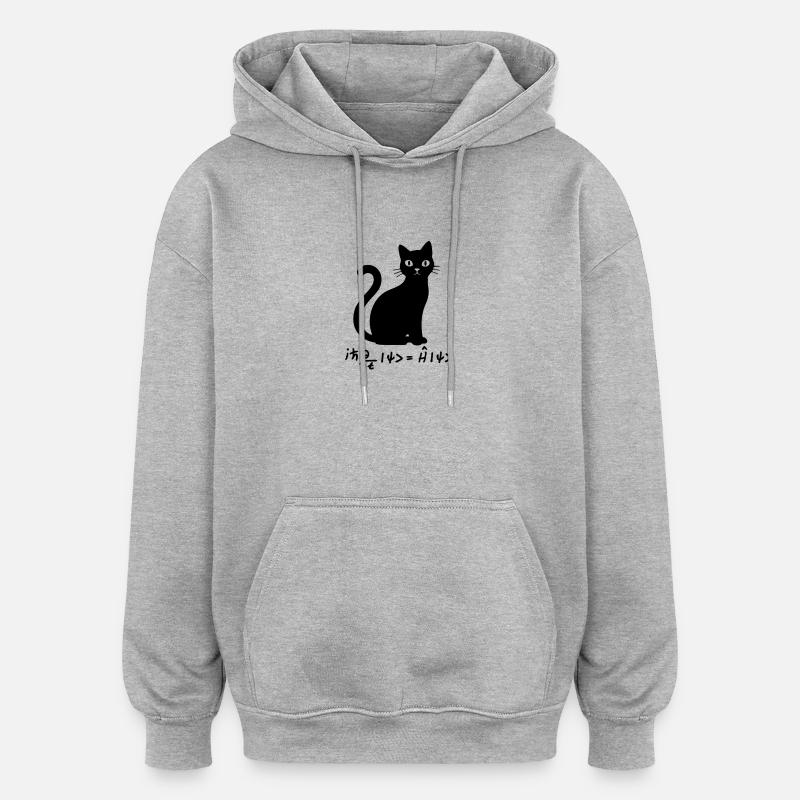 Équation de Schödinger - Sweat à capuche oversize unisexe - gris chiné