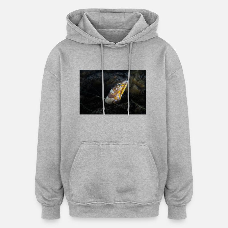 Napoléon serpents anguille - Sweat à capuche oversize unisexe - gris chiné