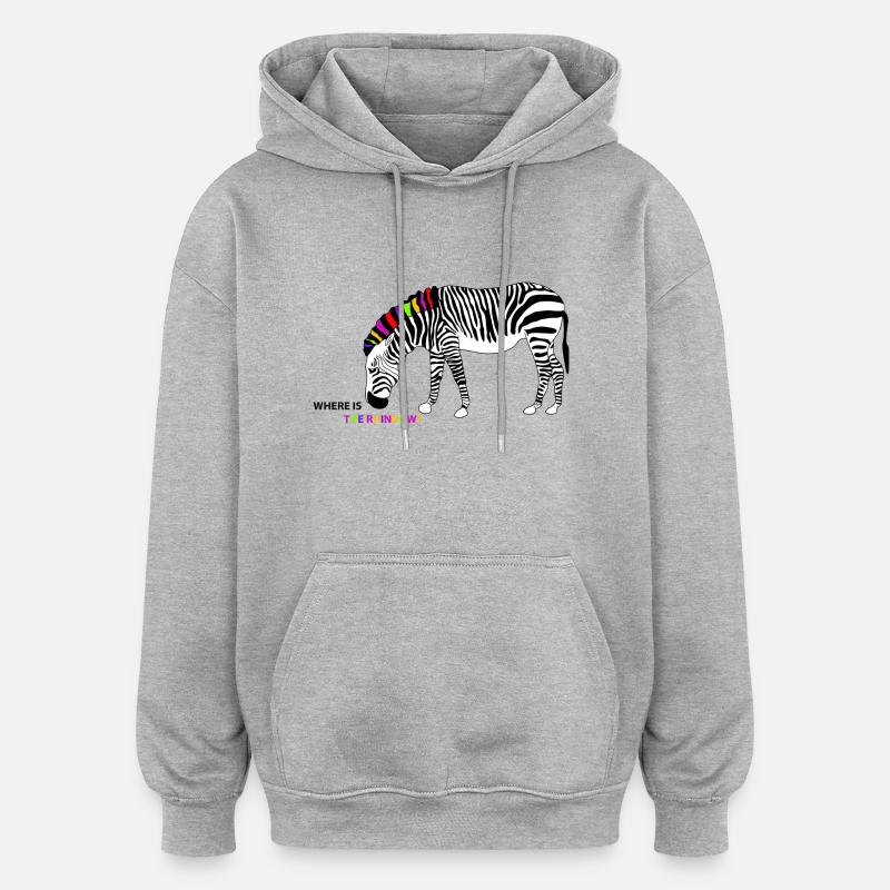 The rainbow - Sweat à capuche oversize unisexe - gris chiné