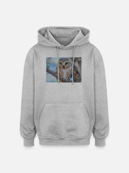 Abendwald Eulenblick - Oversized Unisex Hoodie - Grau meliert