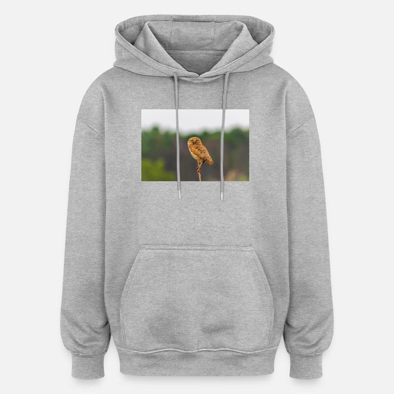 c'est chouette - Sweat à capuche oversize unisexe - gris chiné