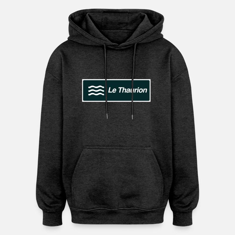 Panneau Thaurion - Sweat à capuche oversize unisexe - charbon