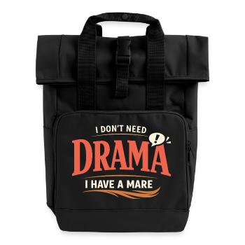 Pferdestimmung Humor Erfahrener Pferdebesitzer - Rolltop Rucksack mit zwei Griffen - Schwarz - Vorne
