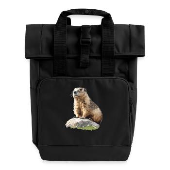 Marmots Groundhog - Roll Top Backpack with Two Handles - black - Front