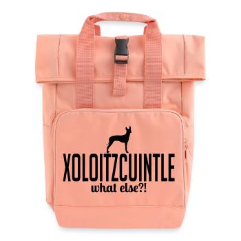 XOLOITZCUINTLE what else - Rolltop Rucksack mit zwei Griffen - Chintzrosa - Vorne