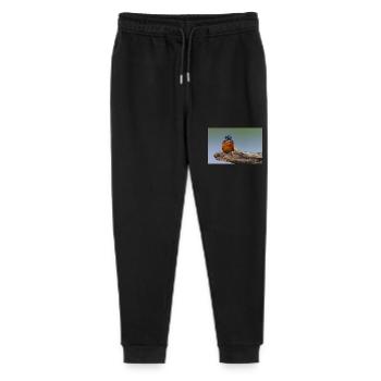 000 1475 DxO - Stanley/Stella Mini Mover Teen Organic Jogging Trousers  - black - Front