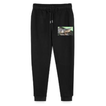 Robbenjunges auf Texel - Stanley/Stella Teenager Bio Jogginghose Mini Mover  - Schwarz - Vorne