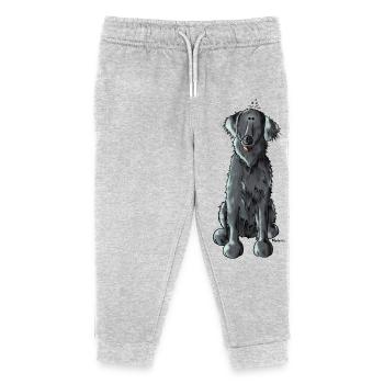 Drôle Retriever à poil plat - Pantalon de jogging enfant bio Stanley/Stella - gris chiné - Devant