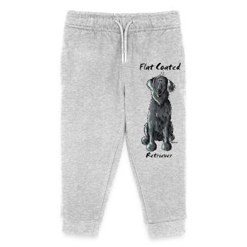 Drôle Retriever à poil plat - Pantalon de jogging enfant bio Stanley/Stella - gris chiné - Devant