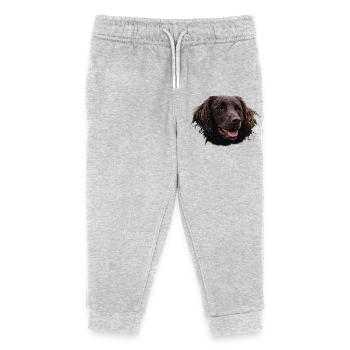 Münsterländer, chiens, chien de chasse - Pantalon de jogging enfant bio Stanley/Stella - gris chiné - Devant
