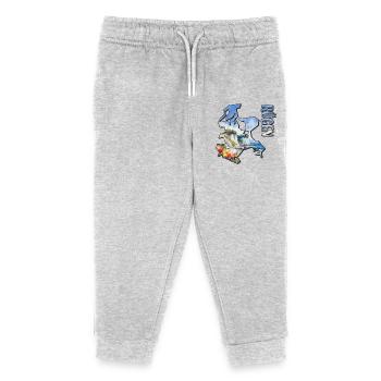 Carte à l’aquarelle Rügen - Pantalon de jogging enfant bio Stanley/Stella - gris chiné - Devant