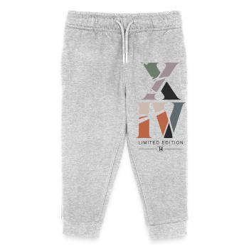 Roman XIV Édition Limitée 14 Ans - Pantalon de jogging enfant bio Stanley/Stella - gris chiné - Devant