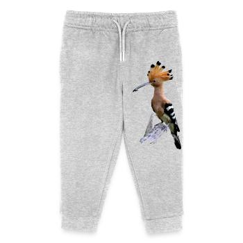 Huppe flamboyante au plumage orange - Pantalon de jogging enfant bio Stanley/Stella - gris chiné - Devant