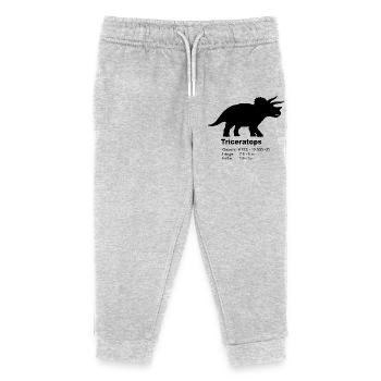 Profil Triceratops – Faits sur les dinosaures - Pantalon de jogging enfant bio Stanley/Stella - gris chiné - Devant