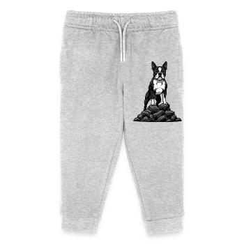 Boston Terrier Dog on Rock Tuxedo Portrait - Kids Organic Sweatpants by Stanley/Stella - heather grey - Front