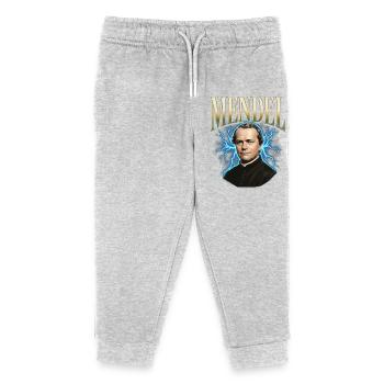 Gregor Mendel Donner - Pantalon de jogging enfant bio Stanley/Stella - gris chiné - Devant