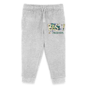 Best Friends - Kids Organic Sweatpants by Stanley/Stella - heather grey - Front