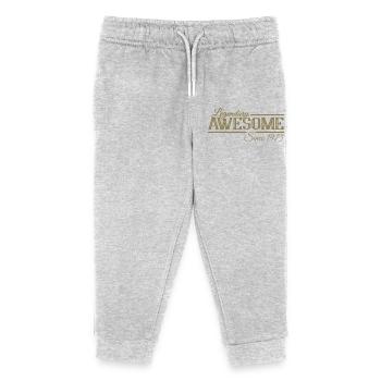 Legendary since 1975 Vintage - Kids Organic Sweatpants by Stanley/Stella - heather grey - Front
