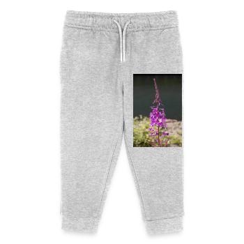 Weidenröschen auch Weidenröschen auch Rosenlorbeer-Weidenröschen - Kinder Organic Jogginghose Mini Mover von Stanley/Stella - Grau meliert - Vorne
