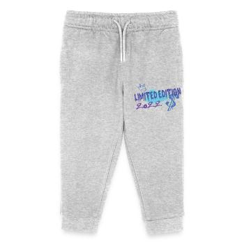 Limited Edition 2022 Geburtstag 2022 Geboren - Kinder Organic Jogginghose Mini Mover von Stanley/Stella - Grau meliert - Vorne