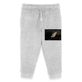 Napoleon Schlangen Aal - Kinder Organic Jogginghose Mini Mover von Stanley/Stella - Grau meliert - Vorne