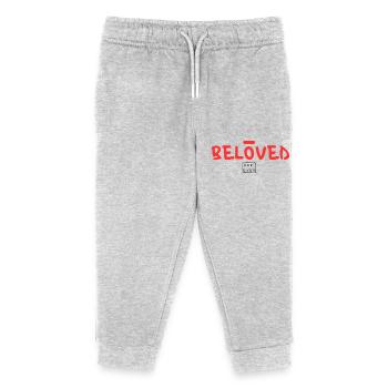 FÜR IMMER GELIEBT - Kinder Organic Jogginghose Mini Mover von Stanley/Stella - Grau meliert - Vorne