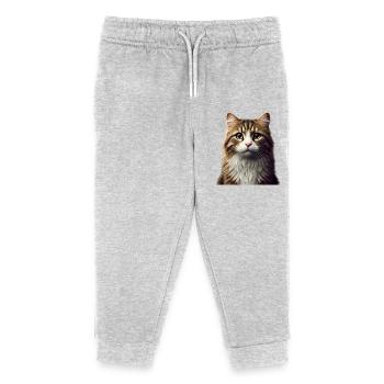 Chat - Pantalon de jogging enfant bio Stanley/Stella - gris chiné - Devant
