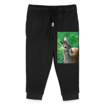Kirk's dik-dik (auf Deutsch Kirk-Dikdik Zwergrüssel - Kinder Organic Jogginghose Mini Mover von Stanley/Stella - Schwarz - Vorne
