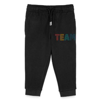 Team - Kids Organic Sweatpants by Stanley/Stella - black - Front