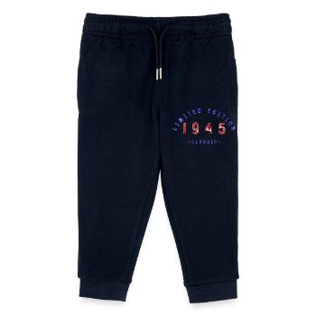 1945, Limited Edition - Kinder Organic Jogginghose Mini Mover von Stanley/Stella - Navy - Vorne