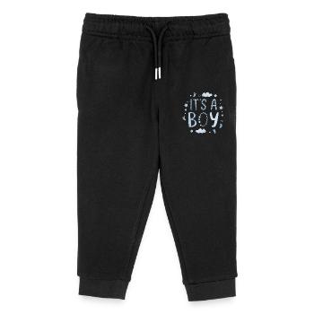 Newborn Boy - Adorable Design - Kids Organic Sweatpants by Stanley/Stella - black - Front