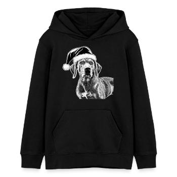 Rhodesian Ridgeback Christmas - Teens Organic Hoodie by Stanley/Stella - black - Front - AI Model Teenager Male light (155cm)