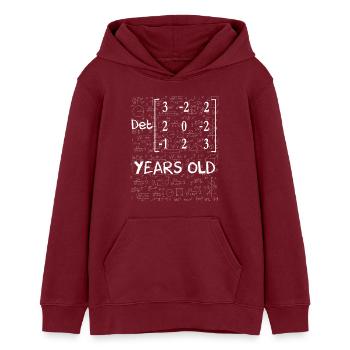 28e anniversaire 28 ans déterminant de matrice - Sweat à capuche ado bio Stanley/Stella - bordeaux - Devant - AI Model Teenager Male dark (155cm)