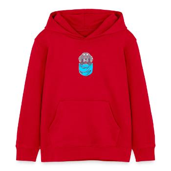 Newfoundland - Kids Organic Hoodie by Stanley/Stella - red - Front - AI Model Kid Male (0cm)