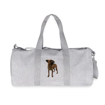 Chien - Sac de sport en toile recyclée Stanley/Stella - gris chiné - Devant