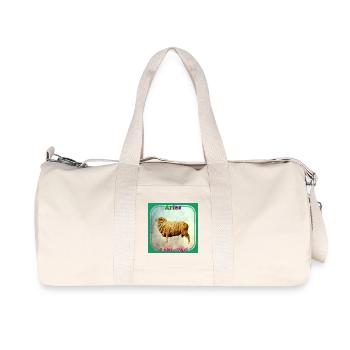 Aries - Recycled Canvas Sports Bag by Stanley/Stella - natural - Front
