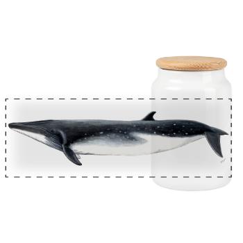 Fin whale - Brydes whale - tropical rorqual - Panoramic Cookie Jar with Wooden Lid - white - Front