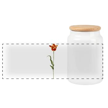 Abendliche Tulpe mit warmen Farbverlauf - Panorama Keksdose mit Holzdeckel - Weiß - Vorne