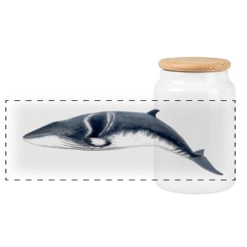 Minke whale - Petit rorqual - Minke whale - Panoramic Cookie Jar with Wooden Lid - white - Front