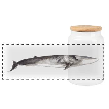 Fin whale Balaenoptera physalus - Panoramic Cookie Jar with Wooden Lid - white - Front